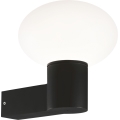 Ideal Lux - Applique murale extérieure CLIO 1xE27/42W/230V IP44 noire